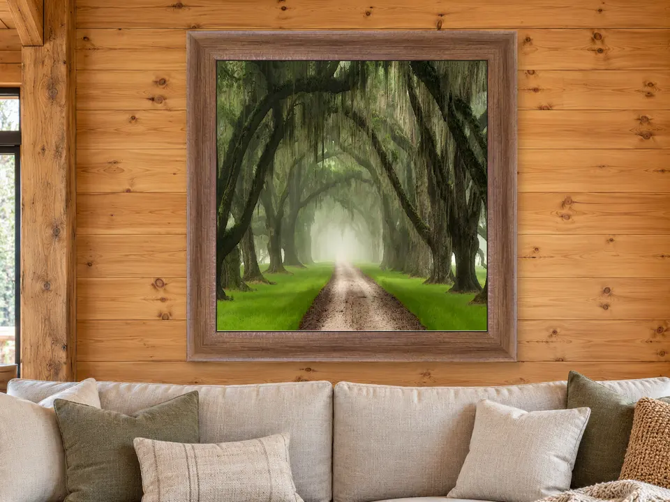Wistful Sanctuary Moss Draped Trees Framed Wall Art framed on a wall