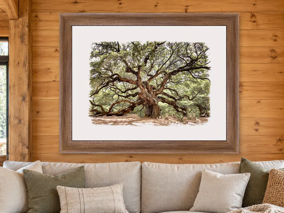 Tender Breeze Oak Tree Framed Wall Art framed on a wall