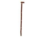 Cane